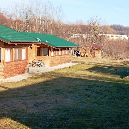 La Livada Villa Valea Danului Ngoại thất bức ảnh