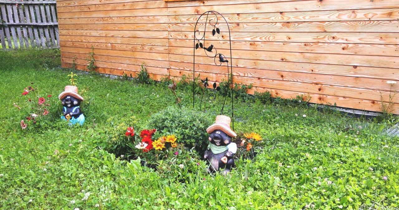 La Livada Villa Valea Danului Ngoại thất bức ảnh