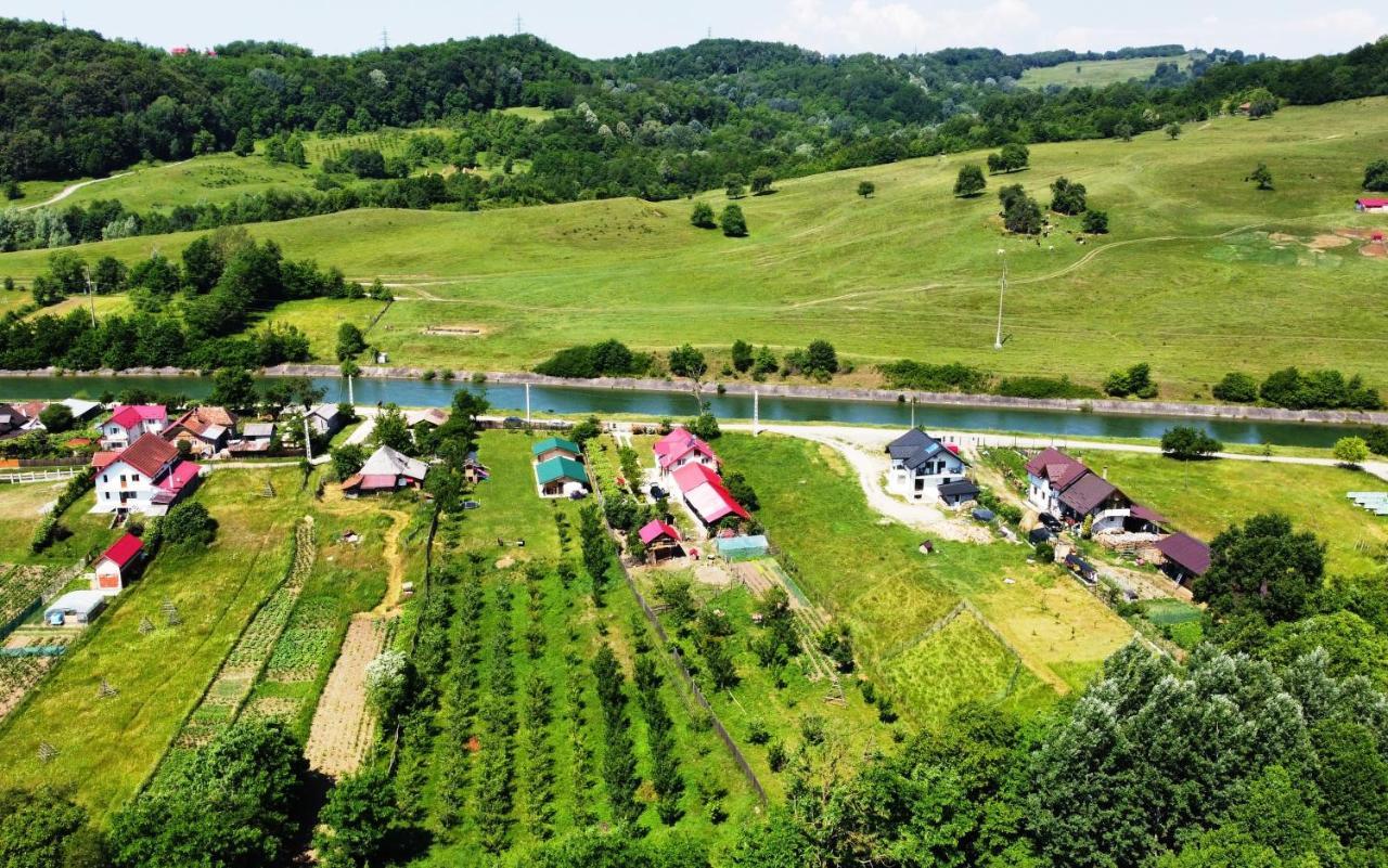 La Livada Villa Valea Danului Ngoại thất bức ảnh