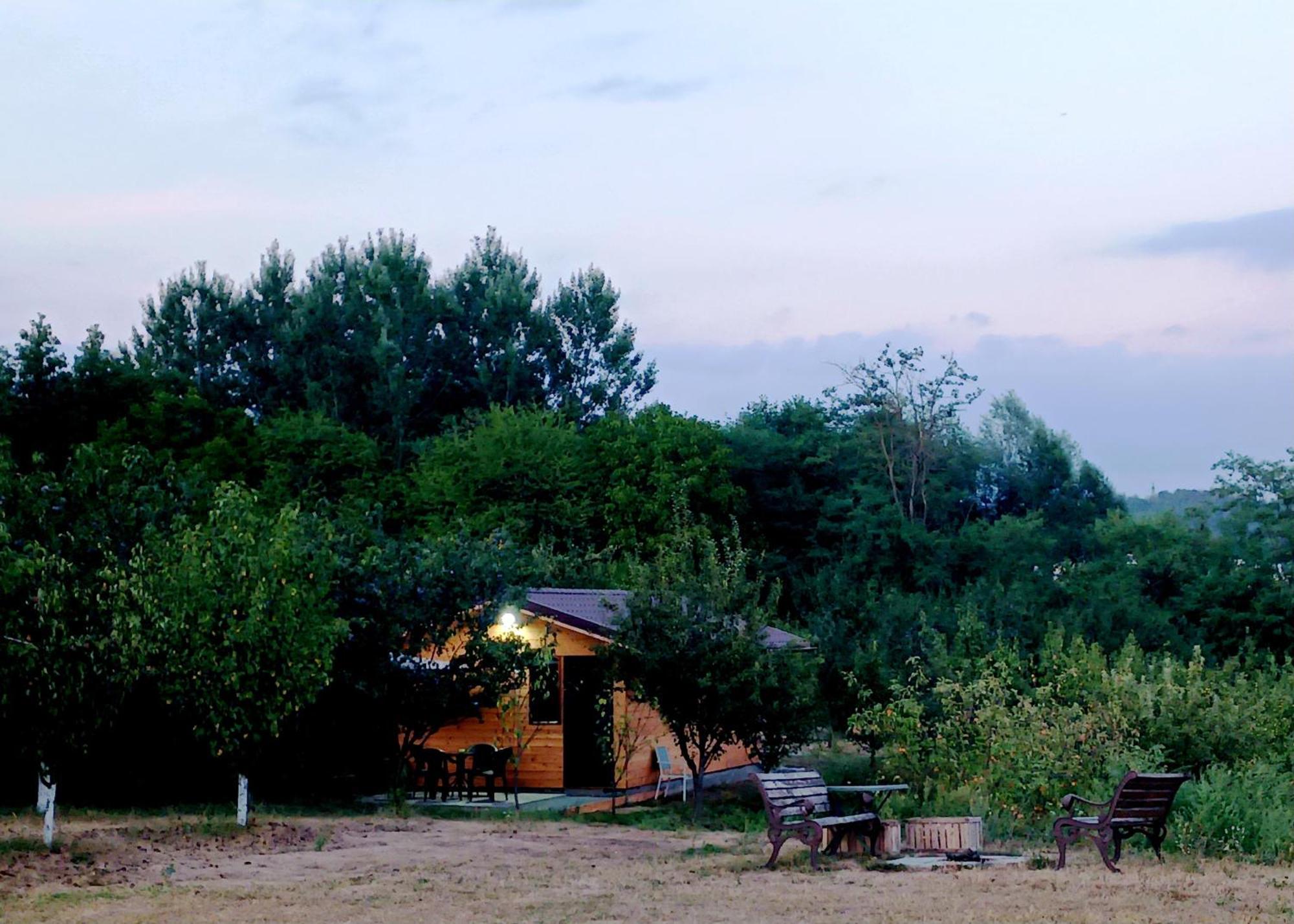 La Livada Villa Valea Danului Ngoại thất bức ảnh